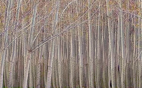 �Ґ�У�@��İח�1400������