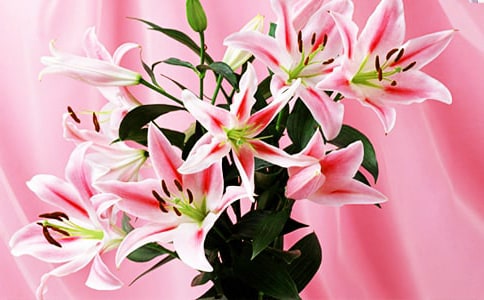 �^��ٺϻ�����ӛ