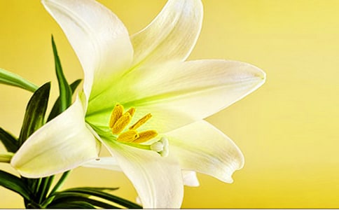 �^��ٺϻ���ӛ300��