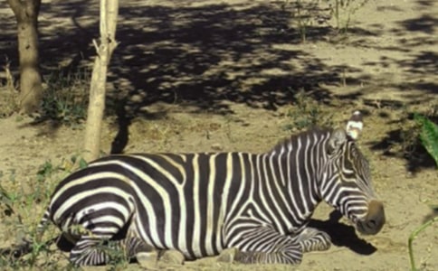 С���R�N�}��_1200��