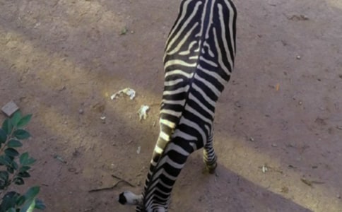 ʧ�����ڰ��R��������