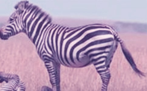 ��(��i)�ڰ��R��(xi��n)����