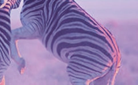 �ϻ���С���RͯԒ����