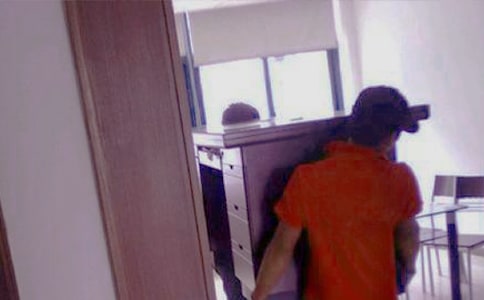 螞蟻搬家的秘密小學(xué)二年級(jí)作文200字