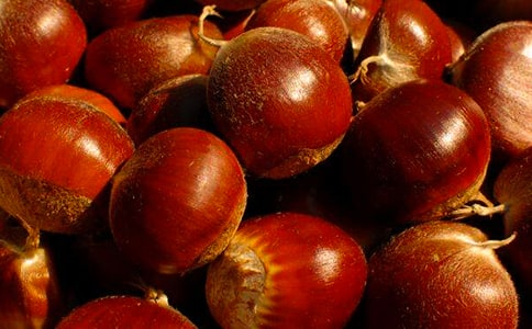 ������(y��u)������