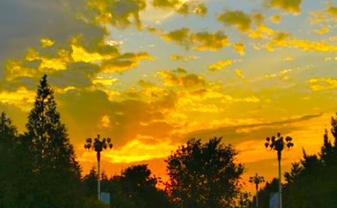 ����İ������ľ��x12ƪ