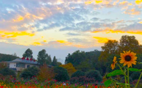 ����İ������ĺϼ�7ƪ