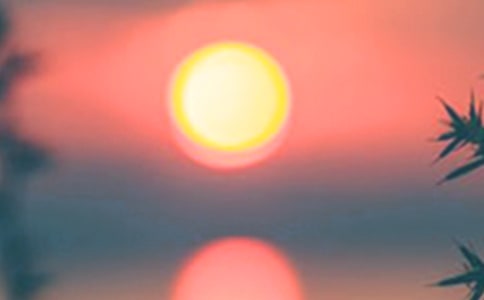 ����İ�������550��