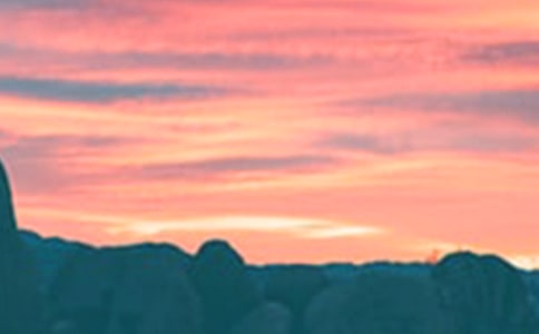 傍晚的公園作文