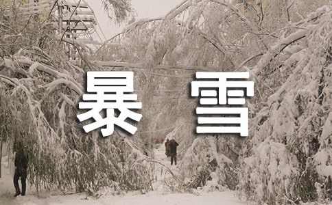 東北地區(qū)一次暴雪過程的診斷分析