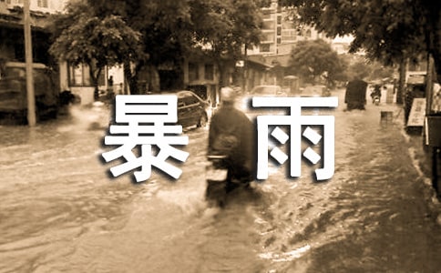 關(guān)于暴雨作文