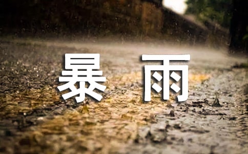 暴雨寫景作文15篇