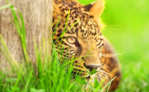 ��ʮ�f��܊���^���˷Q�����^����һˮ�G����������