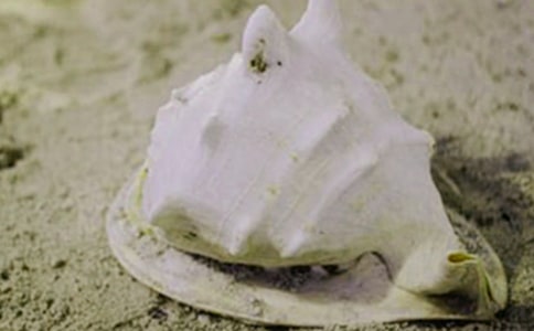 ����ؐ���ă�(y��u)������110��