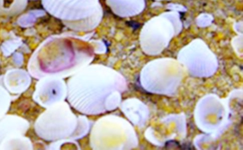 ����(sh��)�á��P(gu��n)��ؐ��������15ƪ