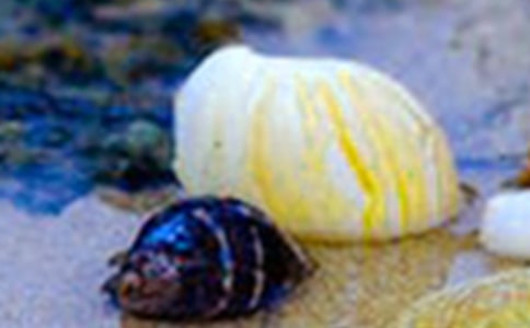 [��(y��u)�x]�P(gu��n)��ؐ��������