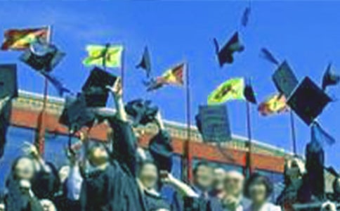 ���и���Į��I(y��)���Z(y��)