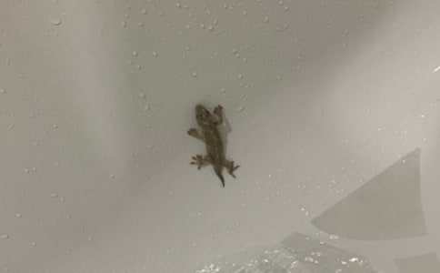 �ڻ�����500�֣��]��