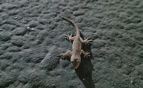 С�ڻ���β�͵Ĺ�������200��