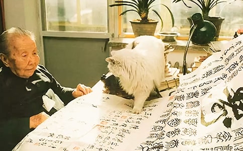 ����ɢ���x���Pӛ