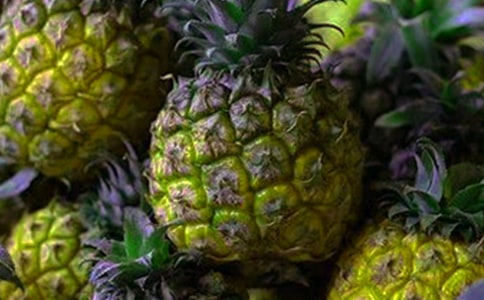 關(guān)于菠蘿的作文