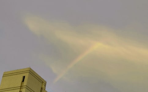 彩虹的美麗作文