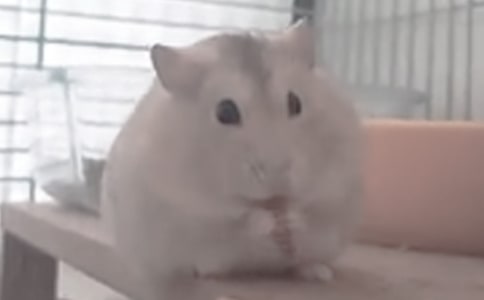 �����A���}���^����ӛ4ƪ