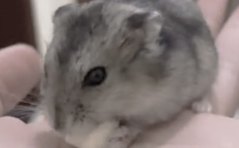 �}���^����ӛ(�ϼ�15ƪ)