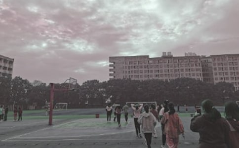 �茑����Ĳو�(ch��ng)�����ģ�ͨ��38ƪ��