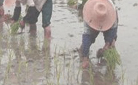 �Pɽ�؅^(q��)ˮ���C(j��)е�����������g(sh��)�đ�(y��ng)��