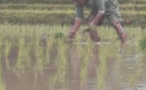 ��������500��