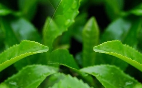 [��(y��u)]���~����500��