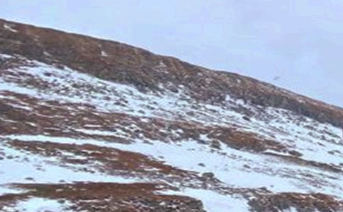 長白山游記作文【推薦】