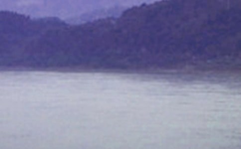 (集合)關(guān)于長江作文