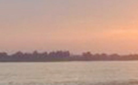 贊美長江的作文