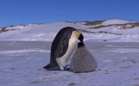 ��Խ�����Đ�����300��