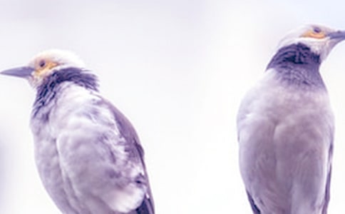 �P(gu��n)�ڳ��ܵ����ı؂�(15ƪ)