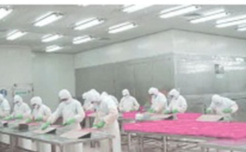 ���a(ch��n)܇�g���ι���Ӌ(j��)��