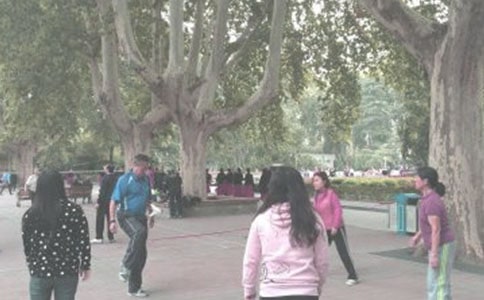 關(guān)于晨練的作文