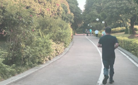 �����t���zӑ��(sh��)