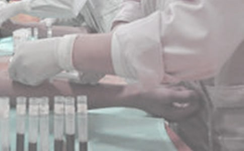 ��Ѫ����ζ_1200��