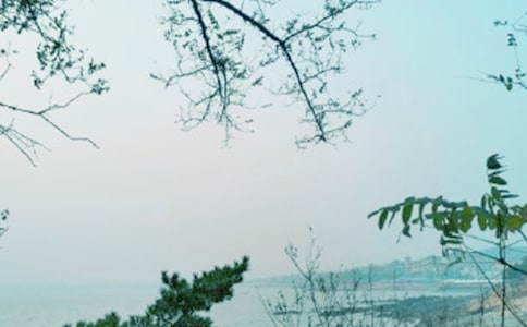 ���L(f��ng)ʮ���ɢ��