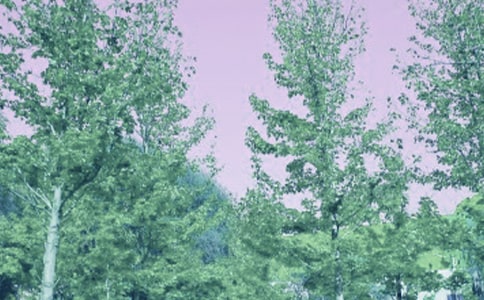 ���L(f��ng)�Ļ��(d��ng)����