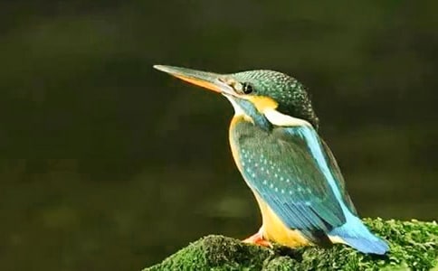 ���BΣ�C900������