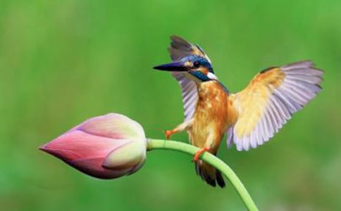 �茑���B������300��