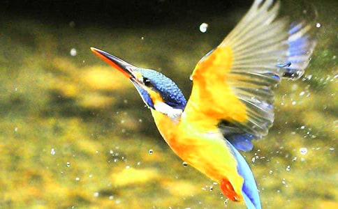 �����B������(x��)�O(sh��)Ӌ(j��)֮һ