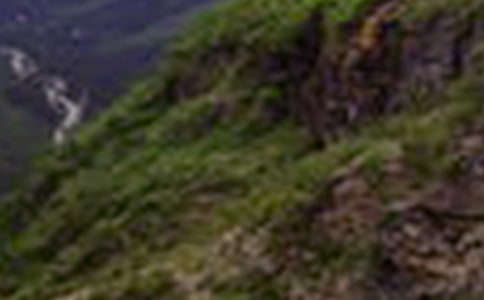 ��ɽ��Ļ�����