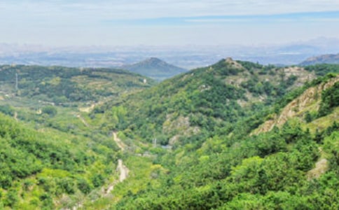 我來自大山深處高一作文(精選20篇)