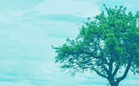 �����^����ӛ