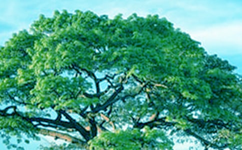 ��������������500�ַ���3ƪ